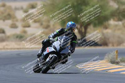 media/May-14-2023-SoCal Trackdays (Sun) [[024eb53b40]]/Turn 5 Tree of Life (1125am)/